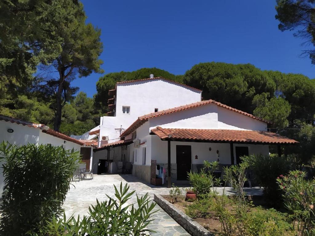 Villa Nikos Koukounaries Exteriér fotografie